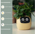 Smart Planter Endless Fun Over 49 Rich Expressions 7 Smart Sensors And AI Chips Make Raising Plants Easy And Fun TRENDFLOW