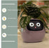 Smart Planter Endless Fun Over 49 Rich Expressions 7 Smart Sensors And AI Chips Make Raising Plants Easy And Fun TRENDFLOW