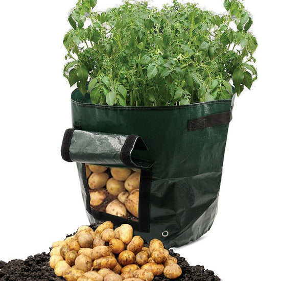 PE cloth garden planting bag TRENDFLOW