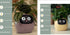 Smart Planter Endless Fun Over 49 Rich Expressions 7 Smart Sensors And AI Chips Make Raising Plants Easy And Fun TRENDFLOW