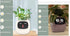 Smart Planter Endless Fun Over 49 Rich Expressions 7 Smart Sensors And AI Chips Make Raising Plants Easy And Fun TRENDFLOW