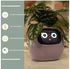 Smart Planter Endless Fun Over 49 Rich Expressions 7 Smart Sensors And AI Chips Make Raising Plants Easy And Fun TRENDFLOW