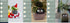 Smart Planter Endless Fun Over 49 Rich Expressions 7 Smart Sensors And AI Chips Make Raising Plants Easy And Fun TRENDFLOW
