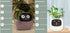 Smart Planter Endless Fun Over 49 Rich Expressions 7 Smart Sensors And AI Chips Make Raising Plants Easy And Fun TRENDFLOW