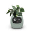 Smart Planter Endless Fun Over 49 Rich Expressions 7 Smart Sensors And AI Chips Make Raising Plants Easy And Fun TRENDFLOW